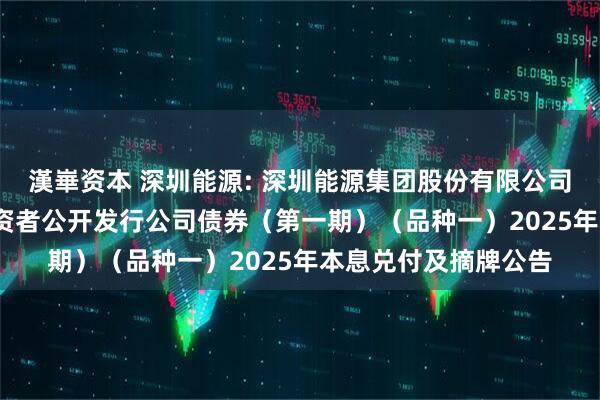 漢崋资本 深圳能源: 深圳能源集团股份有限公司2022年面向专业投资者公开发行公司债券（第一期）（品种一）2025年本息兑付及摘牌公告