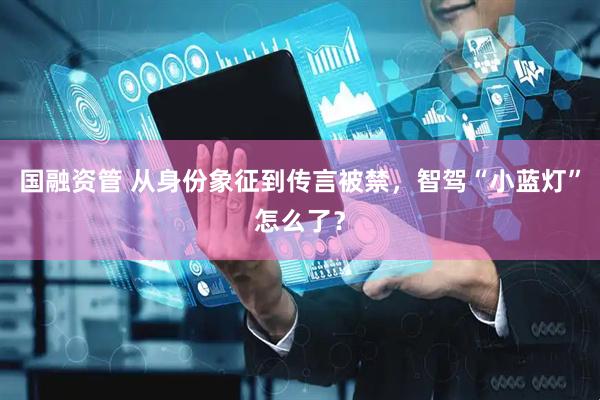 国融资管 从身份象征到传言被禁，智驾“小蓝灯”怎么了？